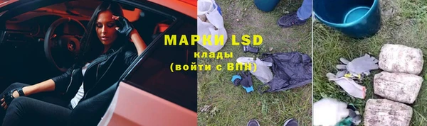 мяу мяу мука Магас