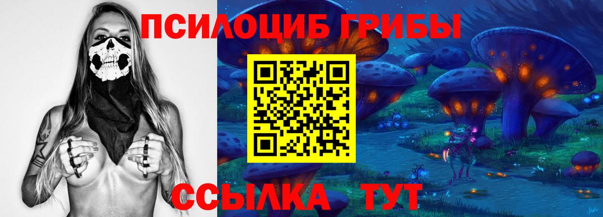 Галлюциногенные грибы ЛСД Черемхово