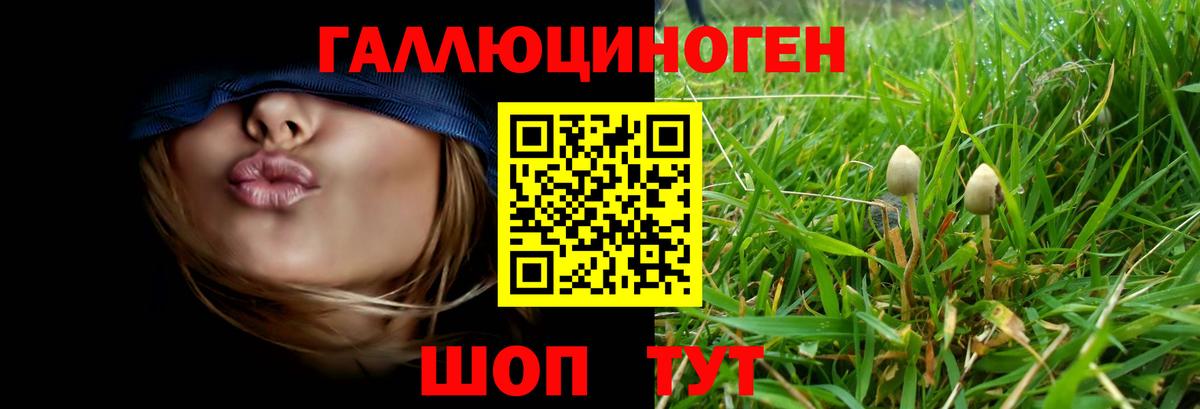 цены наркотик  Псилоцибиновые грибы Cubensis  Черемхово  Вход с VPN  Псилоцибиновые грибы мухоморы 